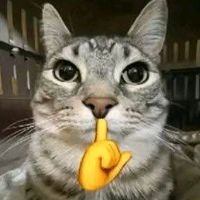 userpzorgebb33