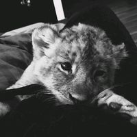 tension_lyrics