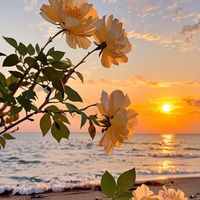 fatima_yahas