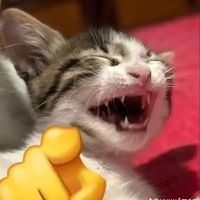 សំឡេងដើម - samnang99281