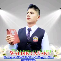 original sound - waldir386