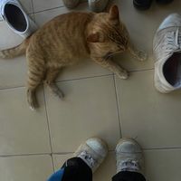 เสียงต้นฉบับ - F.❤️‍🩹