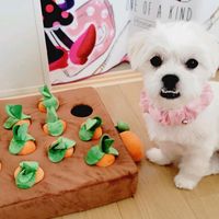 michio0322