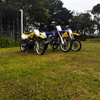 thatsuzidrz