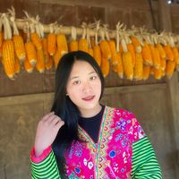 nhạc nền - tsis muaj tis ya 💖