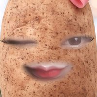 dianpitawinataa