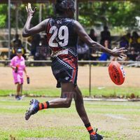 tarlina_tipungwuti