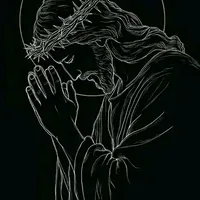 original sound - mule566