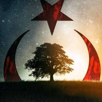 kedkz_0396