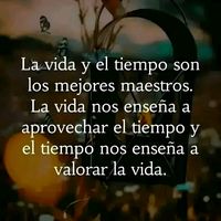 vallenato.2026