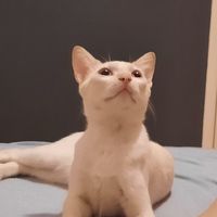 yasminbll