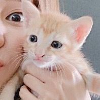 minjee_jj