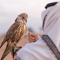 agaab27
