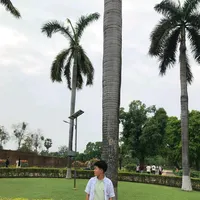 original sound - apanachamlingrai1