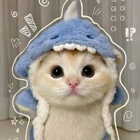 suara asli - dinoraraurusrisolaso