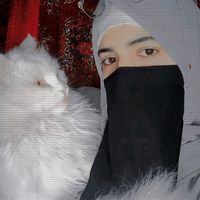 ayesha6201