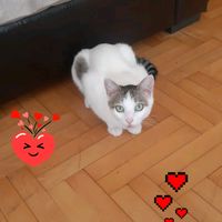 esmerella_34_34