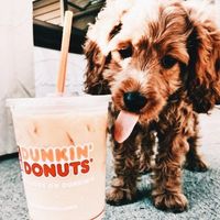 charliq_gracedamelio