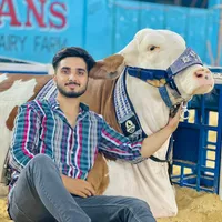 original sound - thecowguyahmed