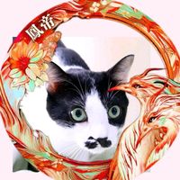 オリジナル楽曲 - No4🅱️サーフ兄ちゃん逃亡中Kz👈