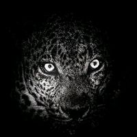 оригинальный звук - ROCARS