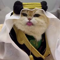 aljwrymajed