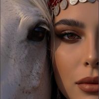 layal_zdd