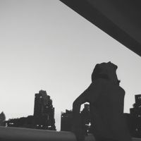p_geewhitebear