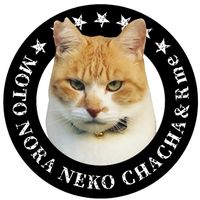 chacha_neco