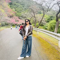 original sound - nju_chy0