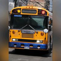 buses.hn61