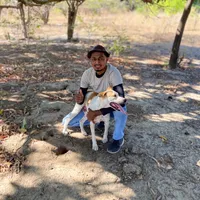 original sound - matutoarretado_