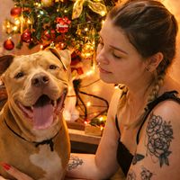 pitbulldaka