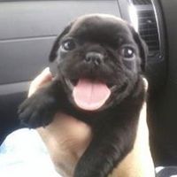 original sound - 👖💄🐰