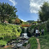 studiogoldenhillscameron