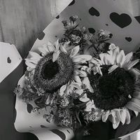 carlilitomas