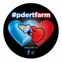 pdert.farm