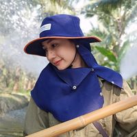 aiwwiw_ana