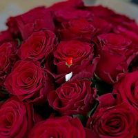 __sevdam__21