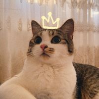 lizaisfluffycat