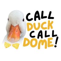 callduckcalldome