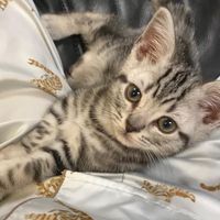 latte_0407