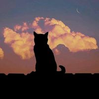 suara asli - Xiaoyue🌝