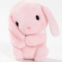 ilovebritneyspears1234