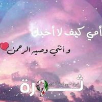 ammohamad82