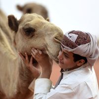 الصوت الأصلي