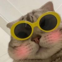 오리지널 사운드 - 춤알못확정.