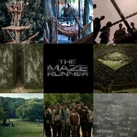 thesociety.ofsurvivors