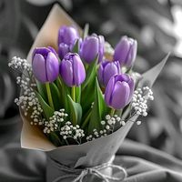 __tulipan