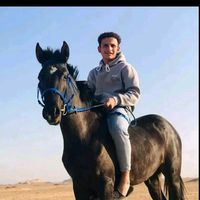 safrwet55